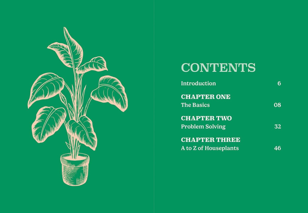 Pocket Houseplants
