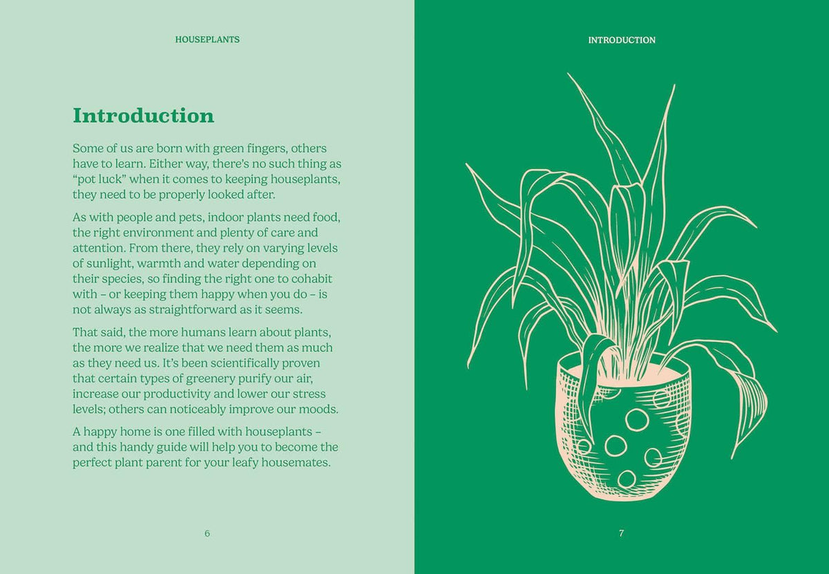 Pocket Houseplants