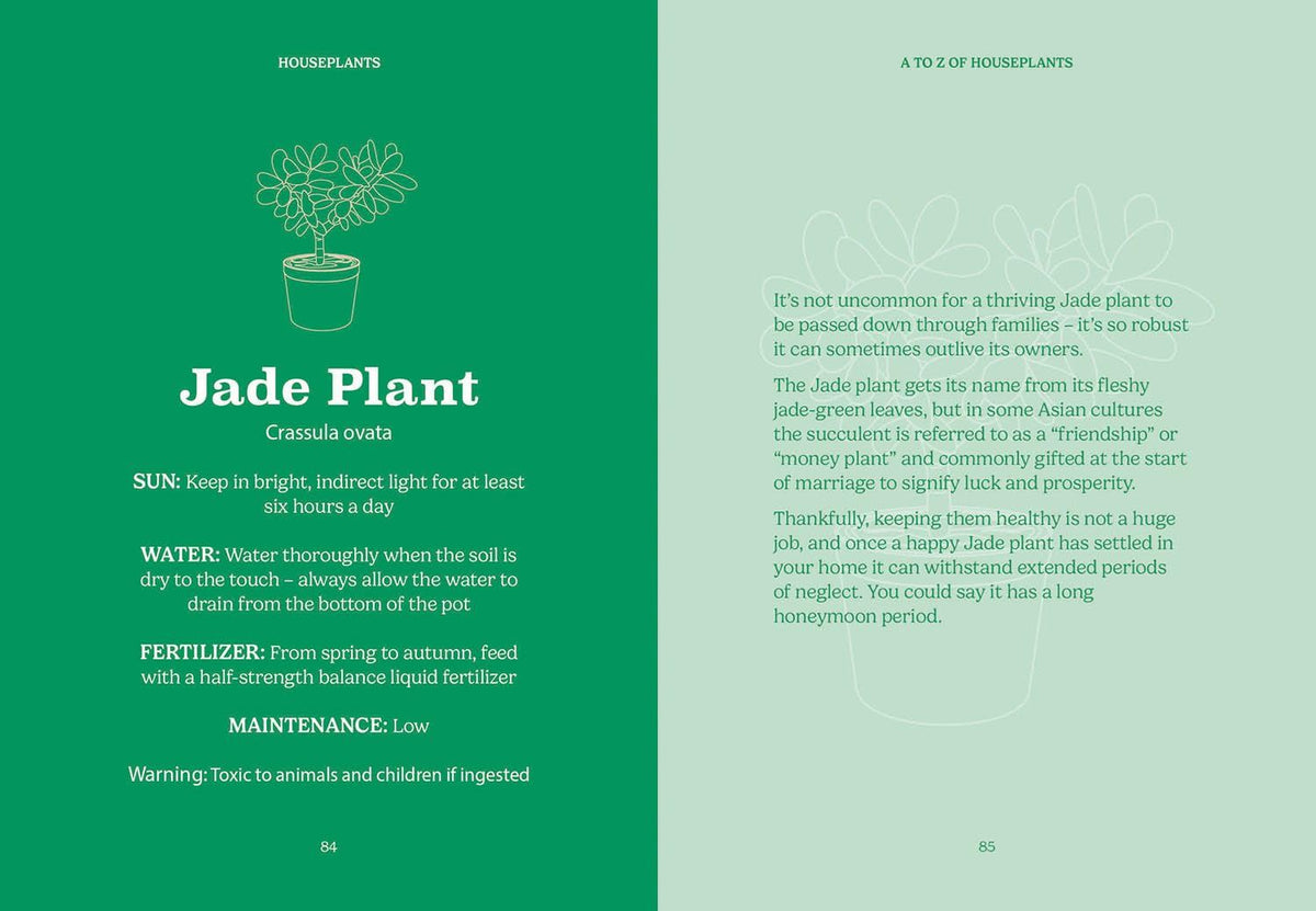 Pocket Houseplants