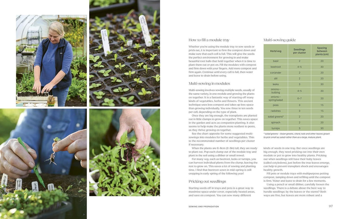 Productive Garden