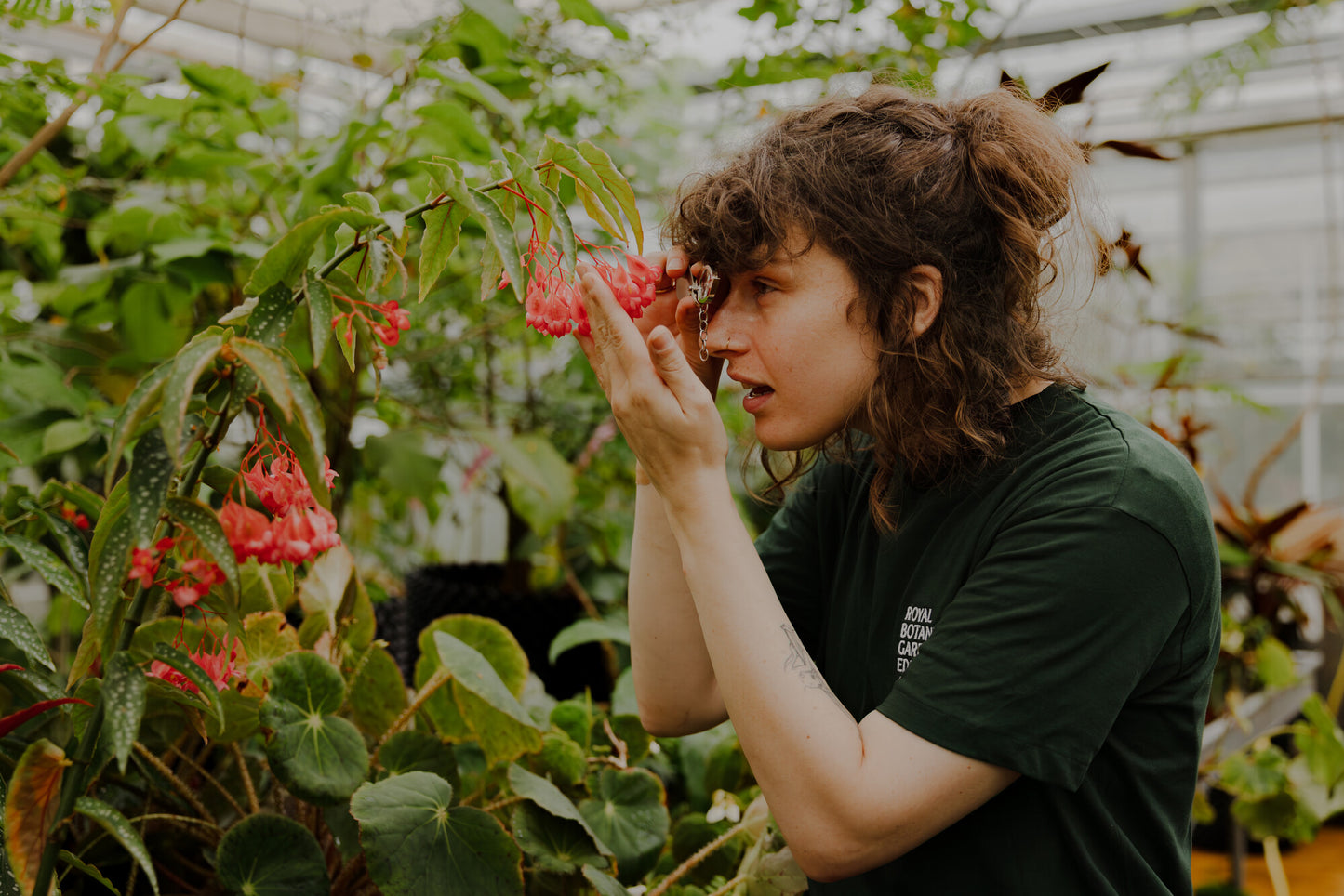 Getting Started with Botany (Online Course)