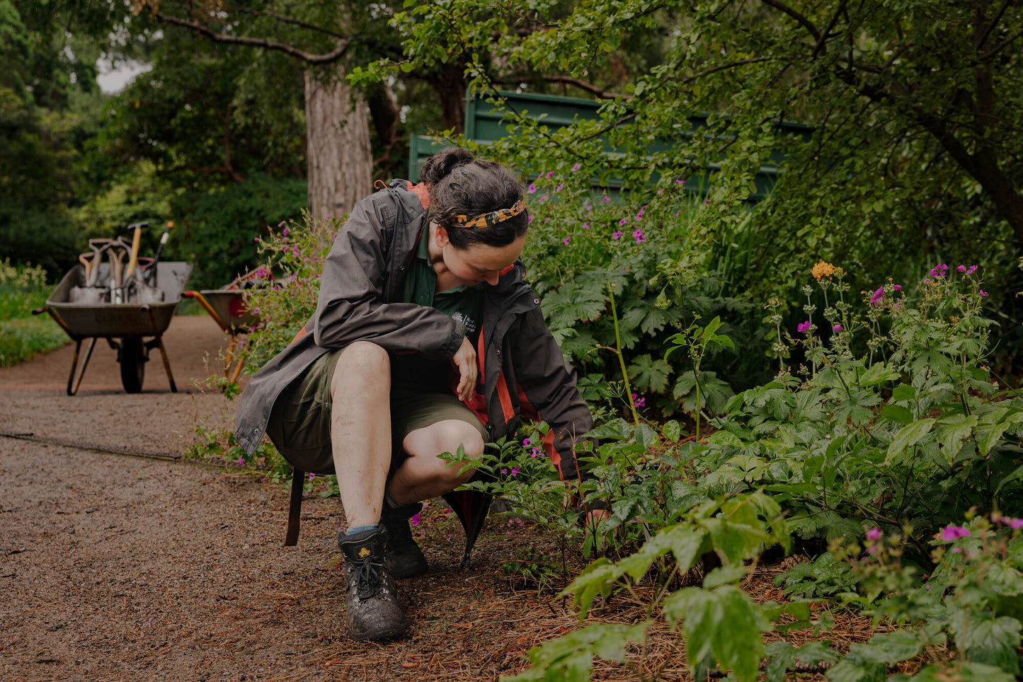 Getting Started with Planting Design (Online Course)