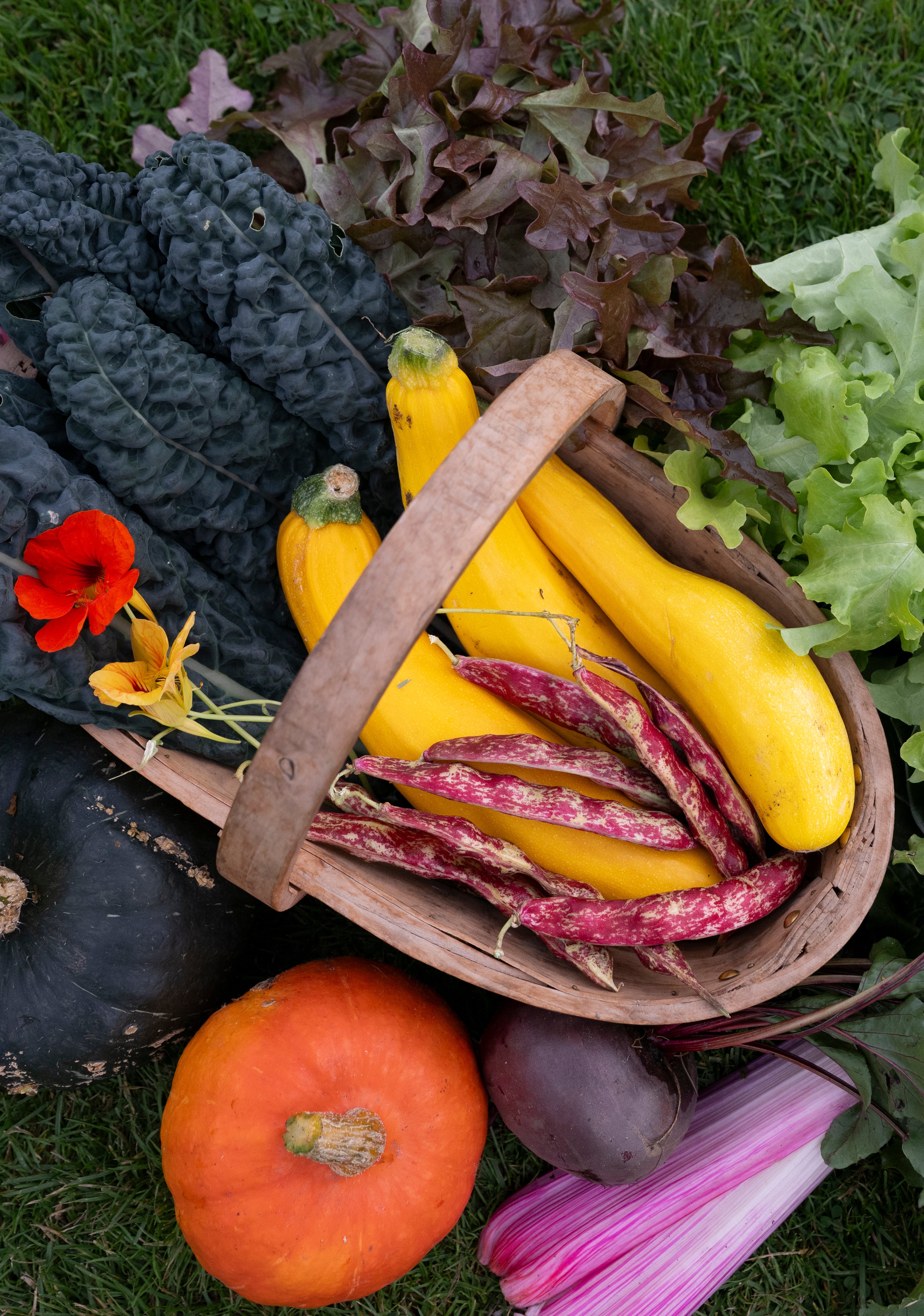 Seasonal Autumnal Cooking: Gardener &amp; Chef Series in partnership with Edinburgh Food &amp; Drink Academy