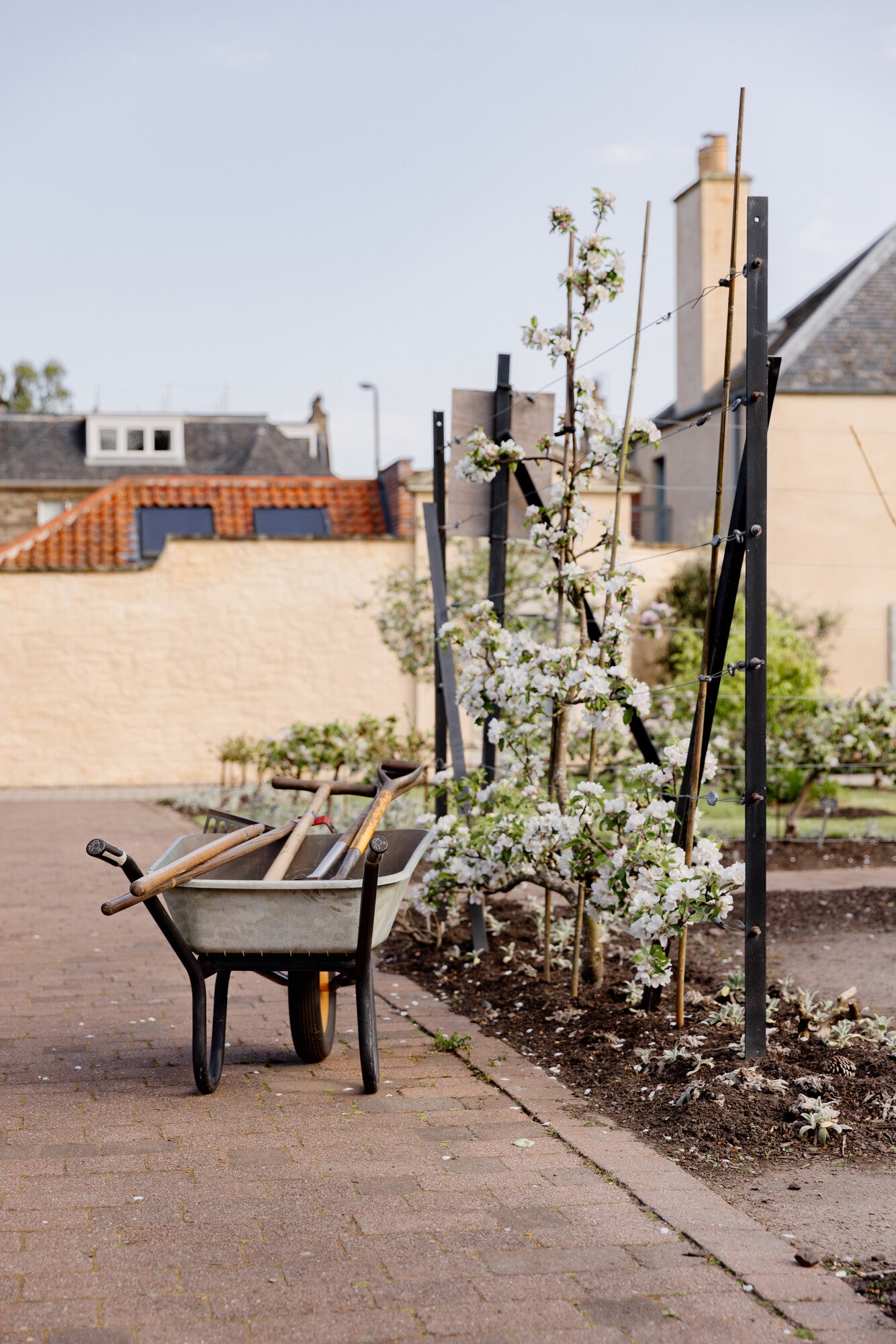 An Introduction to Gardening in a Changing Climate