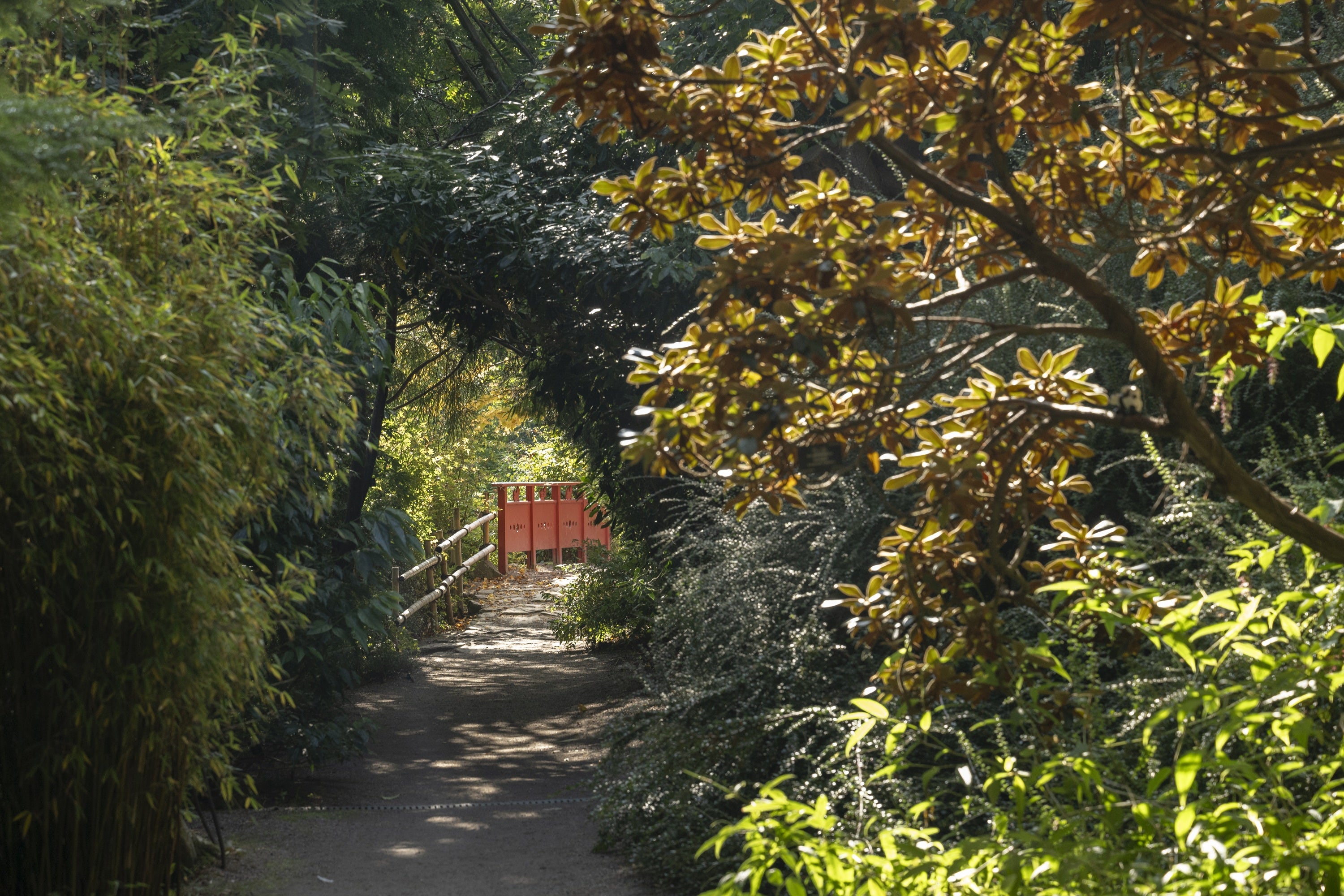 Tea &amp; Tranquility: A Mindful Garden Walk
