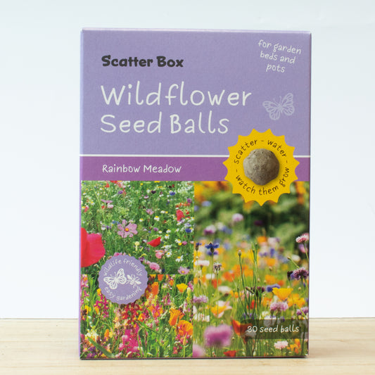 Scatter Box Wildflower Seed Balls - Rainbow Meadow