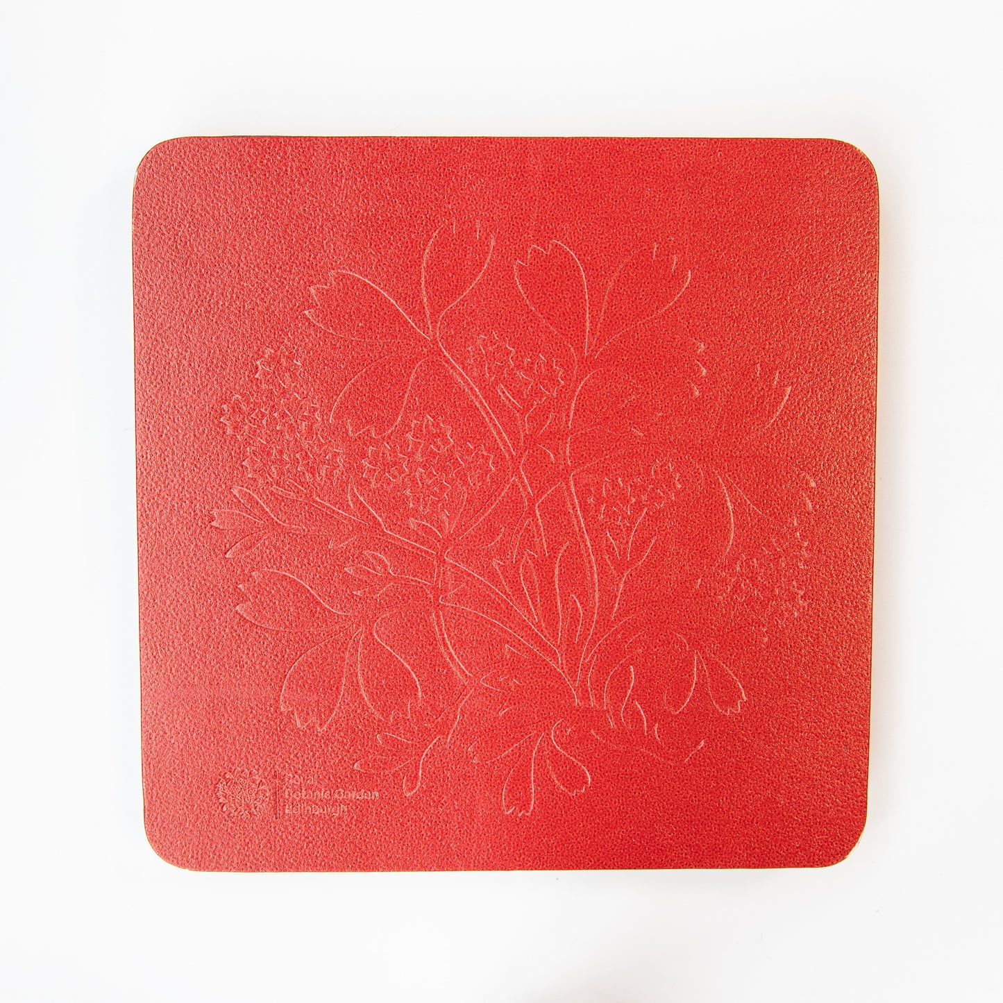 Sibbaldia Coaster