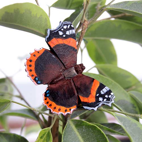 Red Admiral Butterfly Magnet
