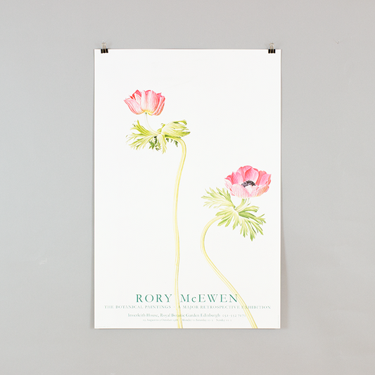 The Botanical Paintings - A Major Retrospective Exhibition' by Rory McEwen