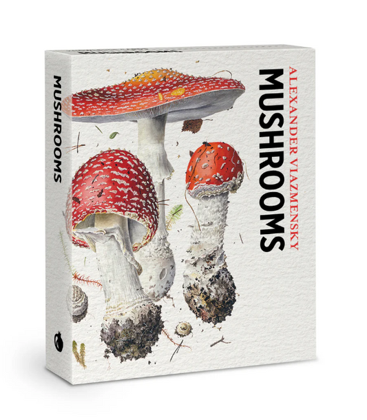 Mushroom  Knowledge Cards