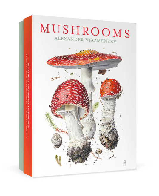 Mushroom Notecards