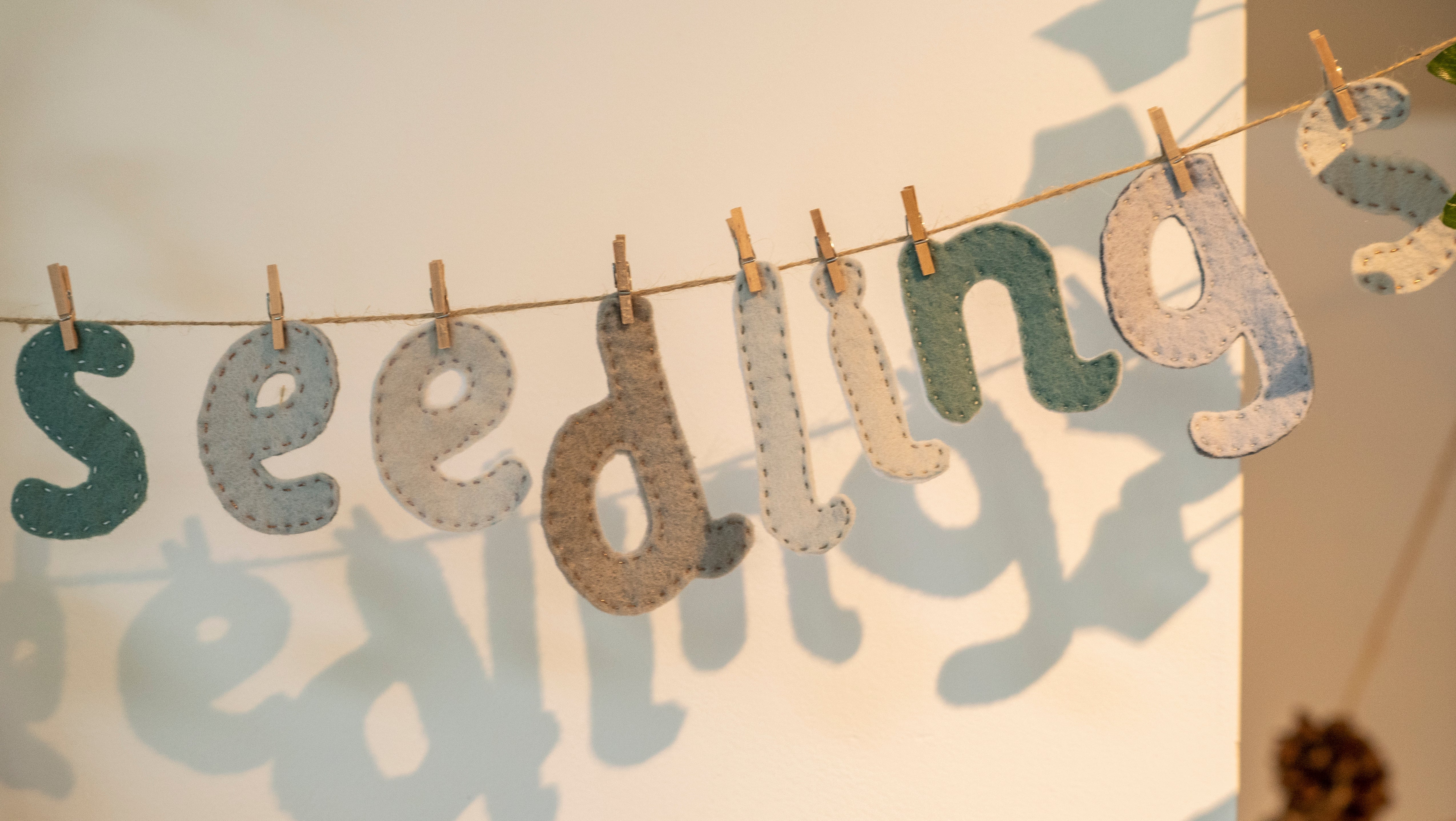 Seedlings Indoor Parent &amp; Baby Group Autumn 2026