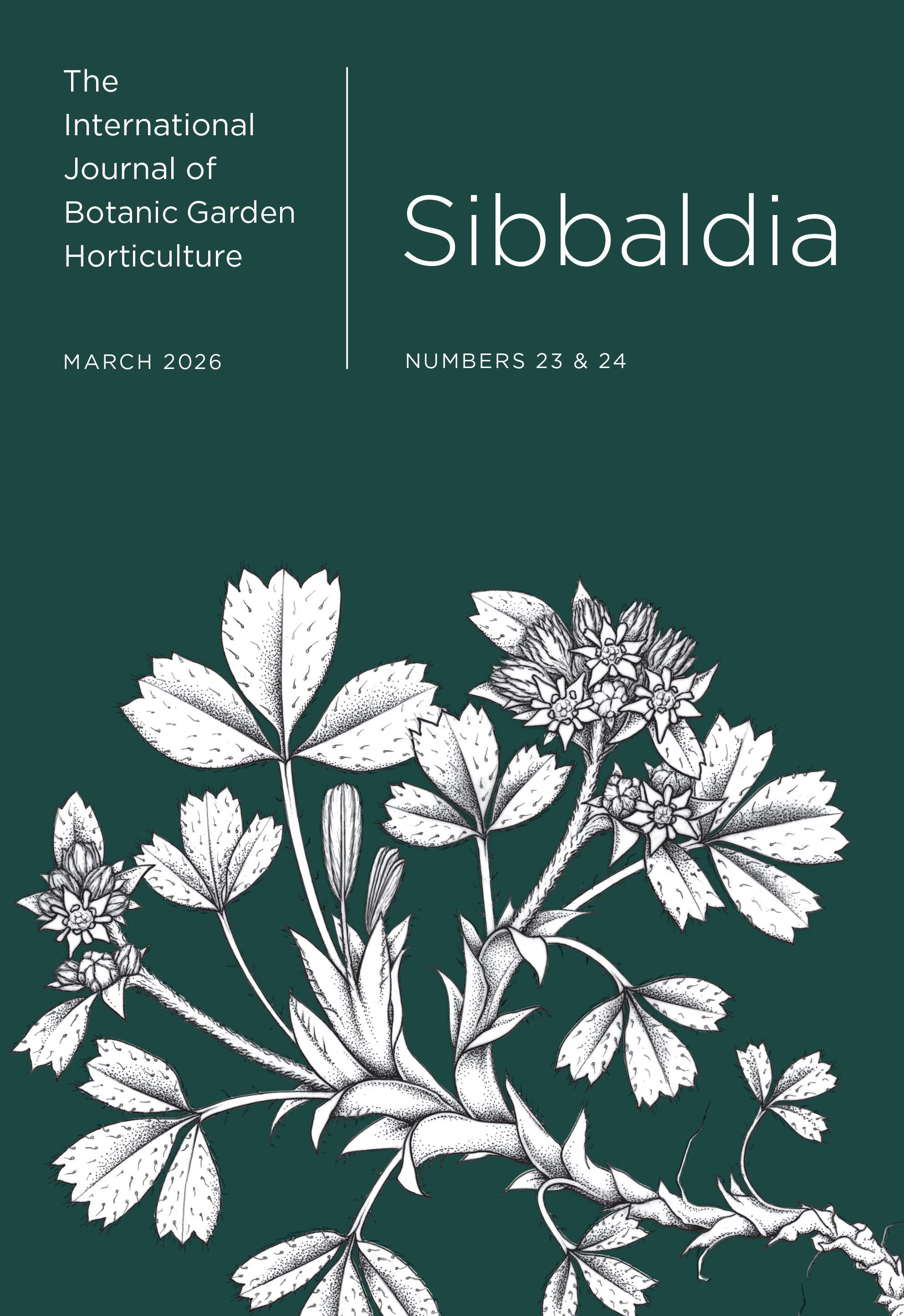 Sibbaldia Number 23 &amp; 24