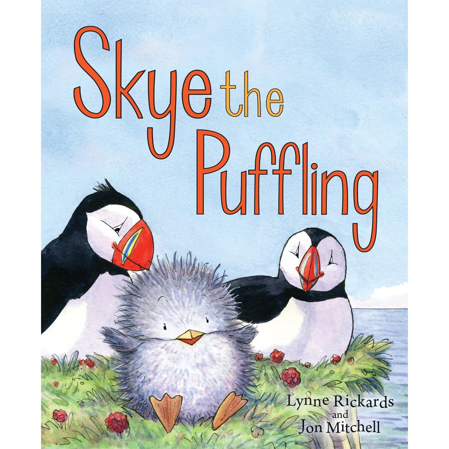 Skye The Puffling
