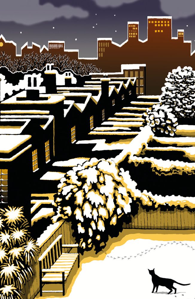 Snowy Night Boxed Cards - Pack of 20