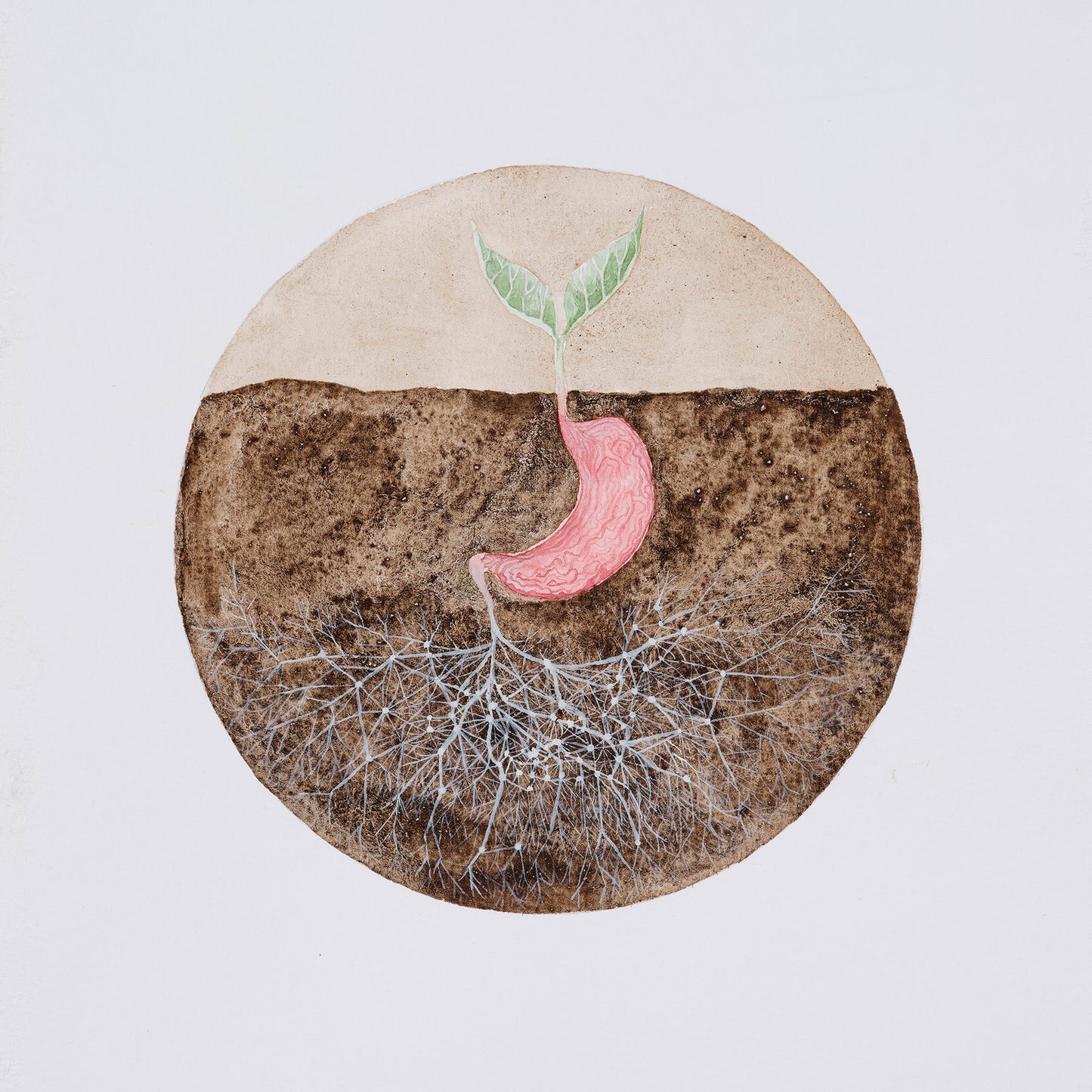 Natalie Taylor: Human-Soil-Symbiosis Print
