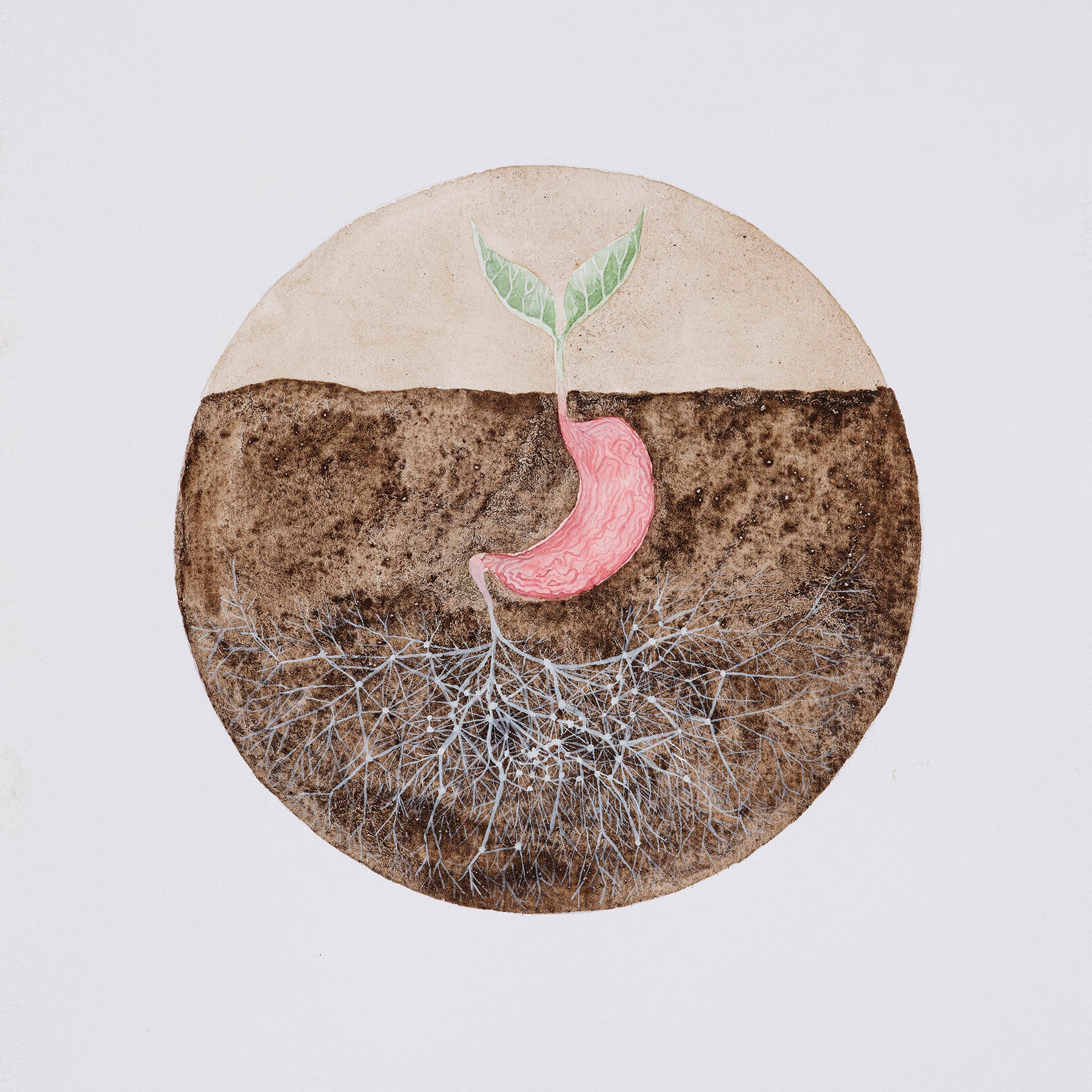 Natalie Taylor: Human-Soil-Symbiosis Print