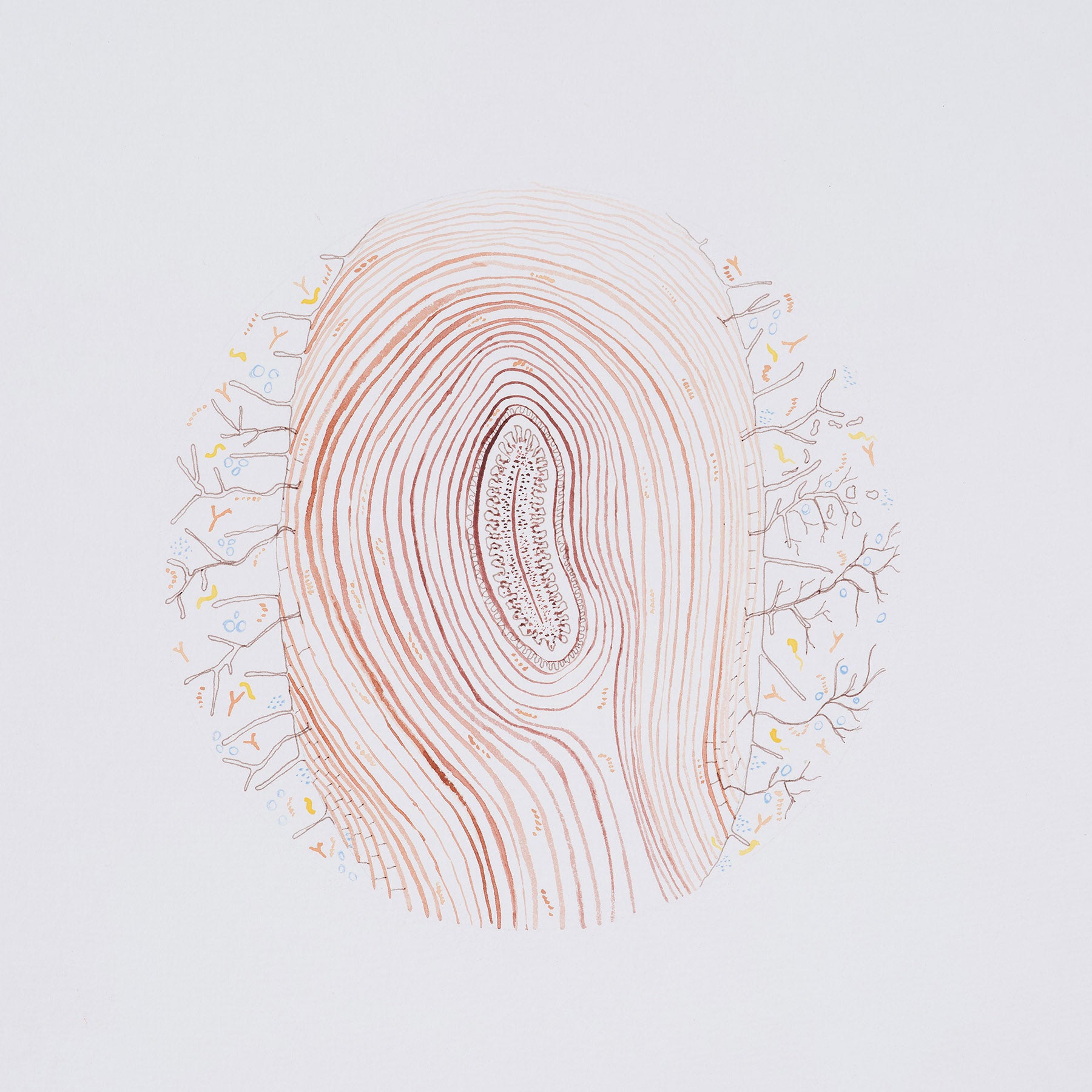 Natalie Taylor: Fingerprint Holobiont Print