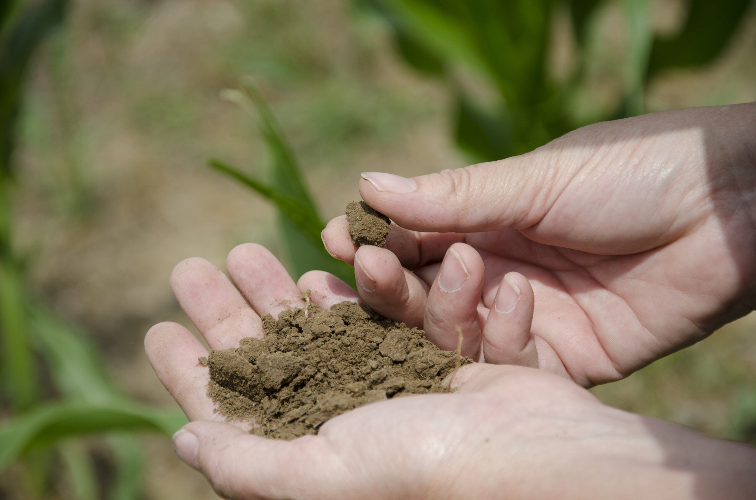 Soil Unearthed