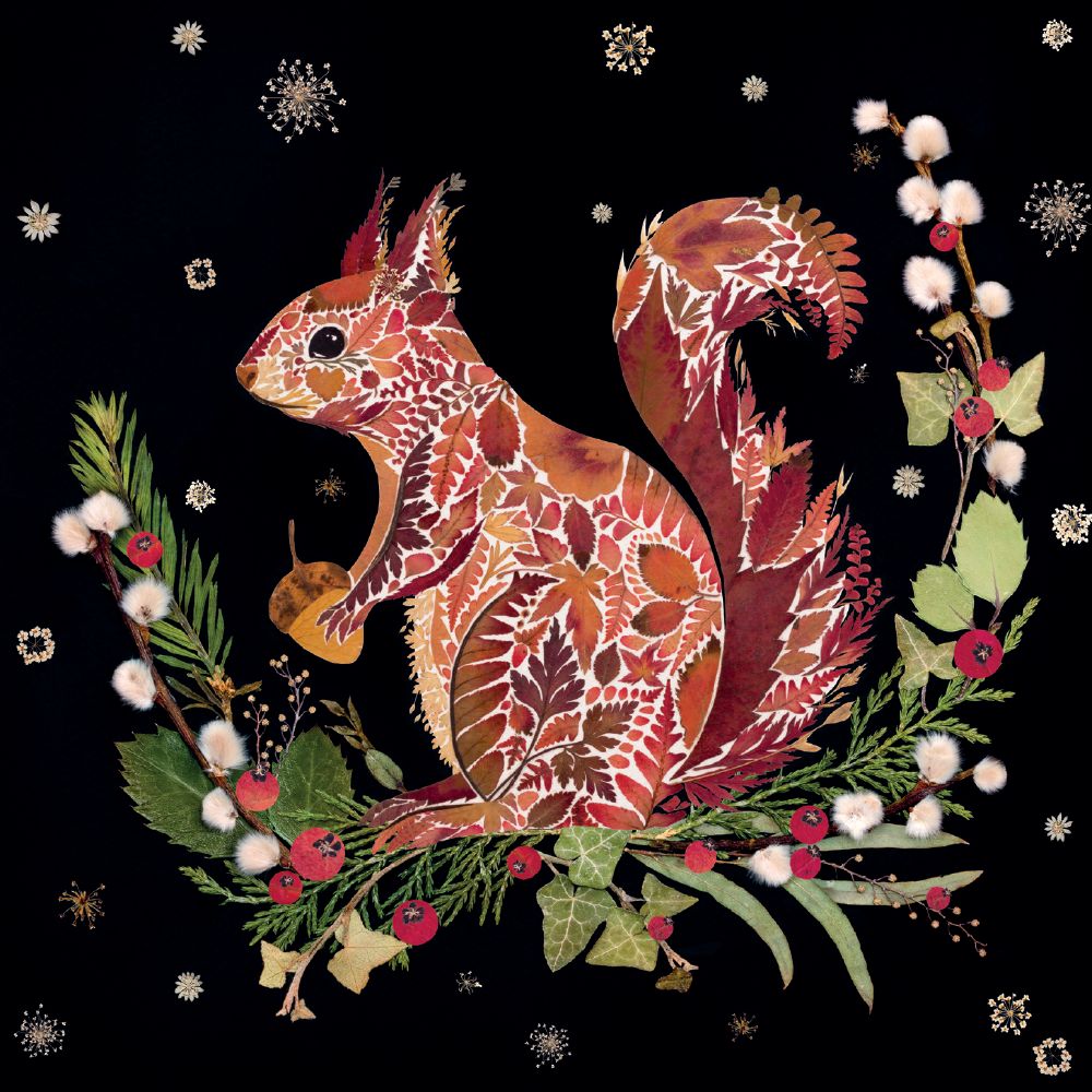Squirrel Christmas Cards - Pack of 8
