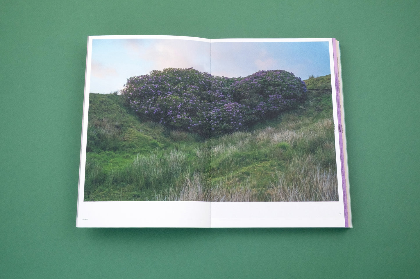 With Love From an Invader;  Rhododendrons, Empire, China and Me