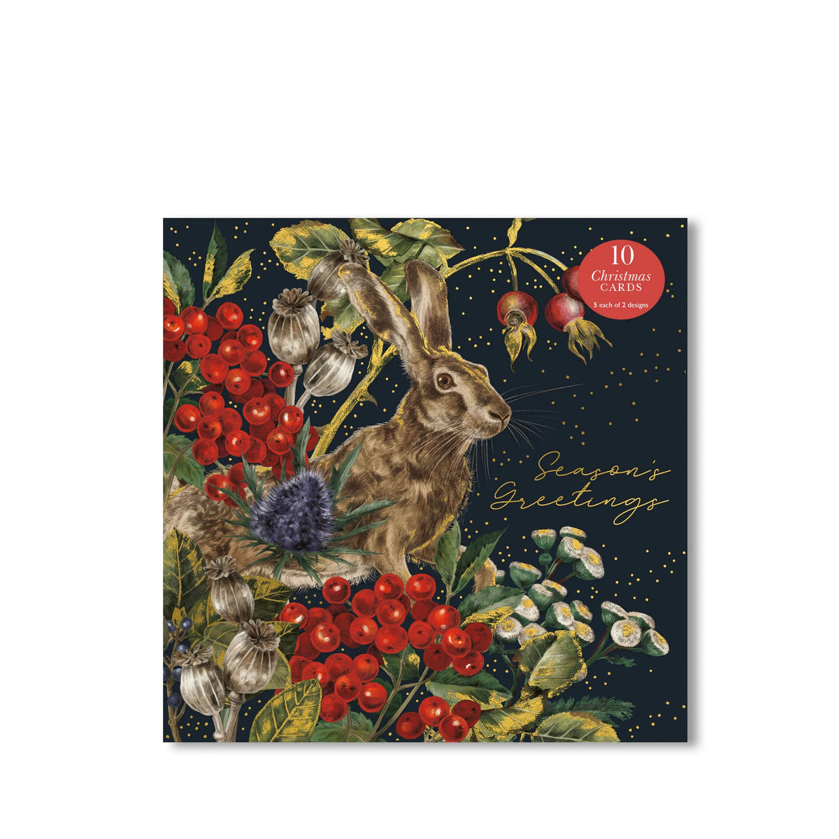 Christmas Cards Pack of 10 - Fable Hare &amp; Owl