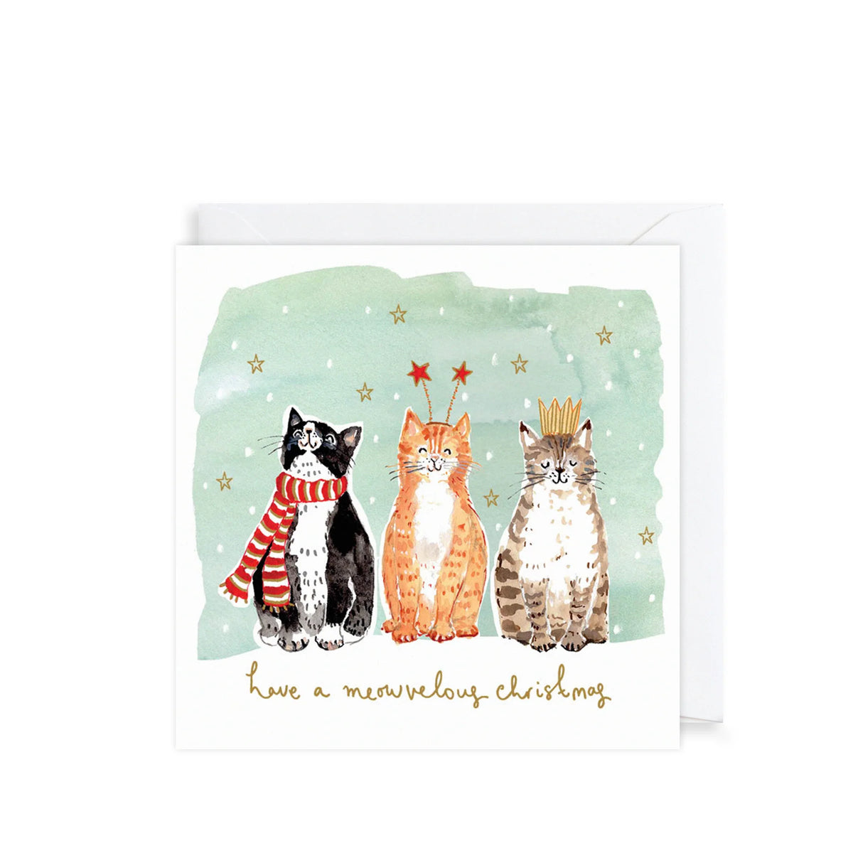 Christmas Cards Pack of 10 - Christmas Dogs &amp; Cats