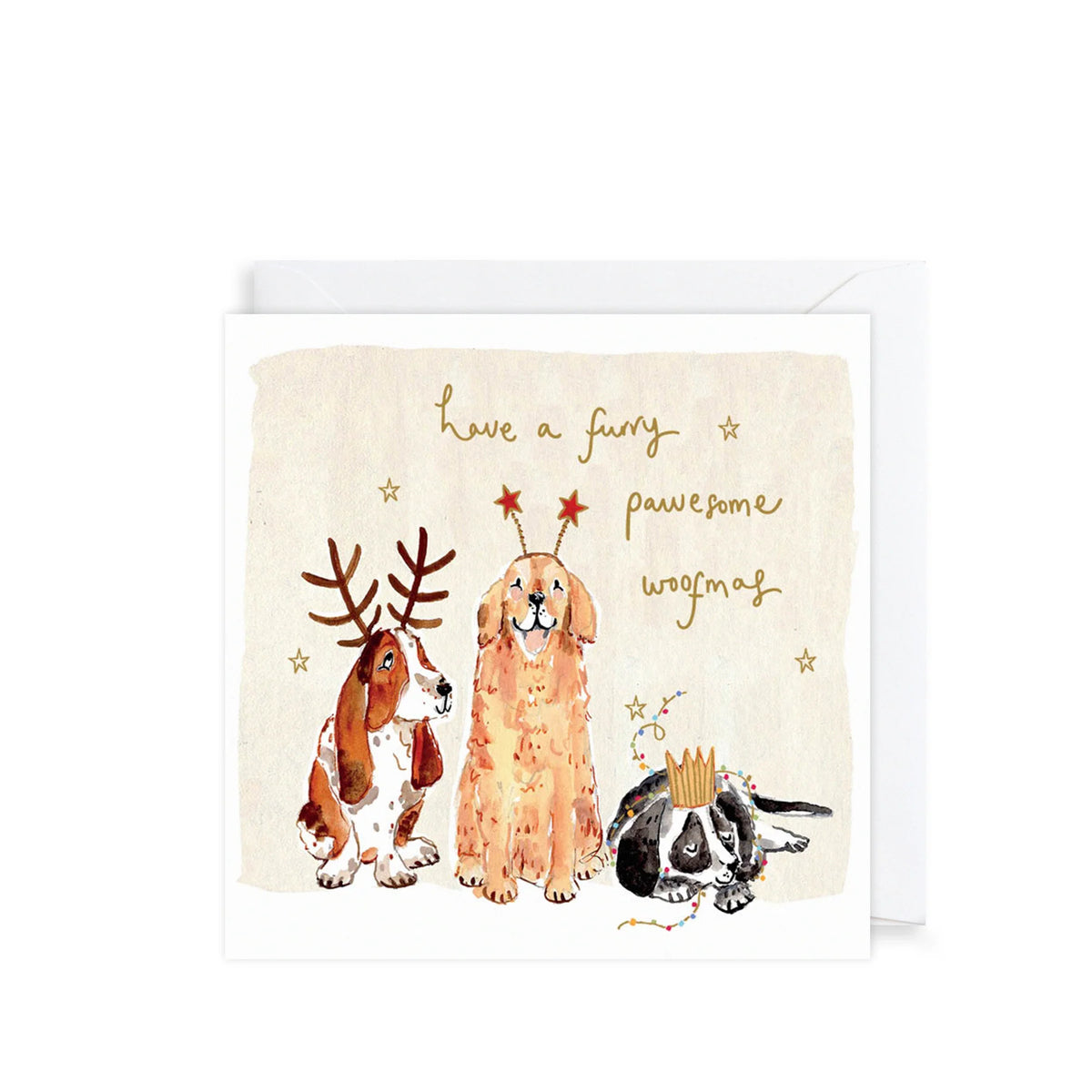 Christmas Cards Pack of 10 - Christmas Dogs &amp; Cats
