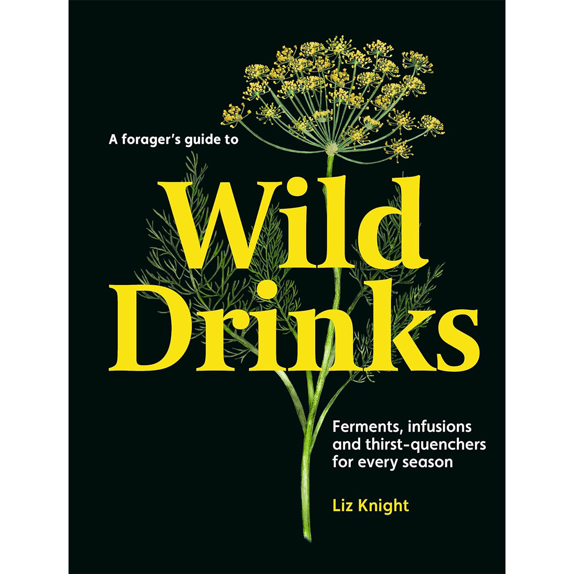 Forager's Guide to Wild Drinks