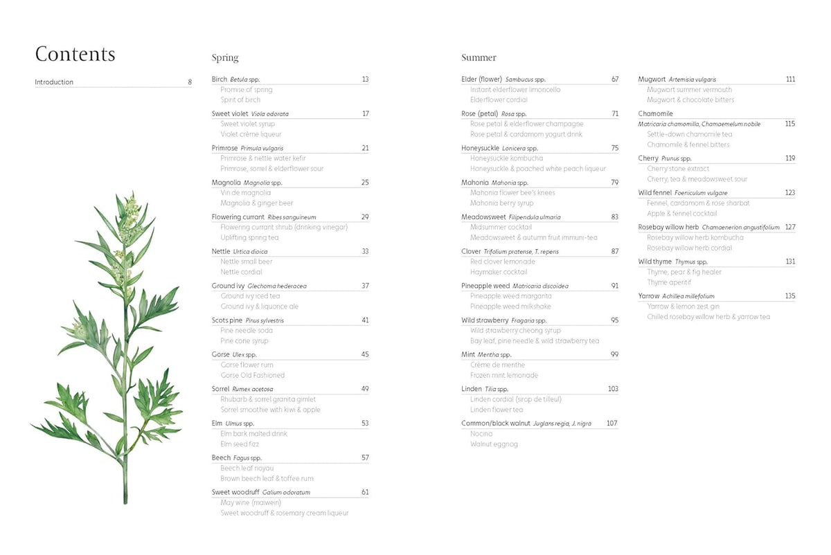 Forager's Guide to Wild Drinks