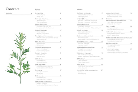 Forager's Guide to Wild Drinks