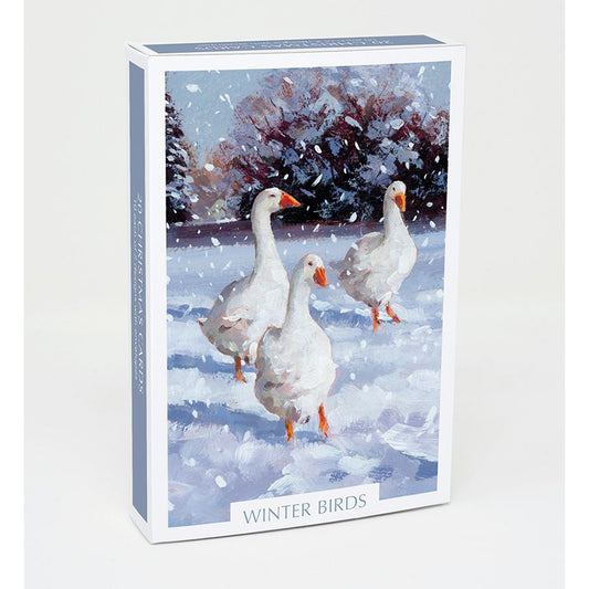 Winter Birds Christmas Cards - Box of 20