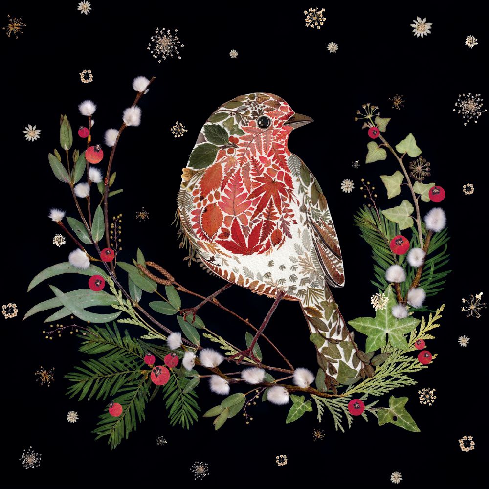 Winter Robin Christmas Cards - Pack of 8