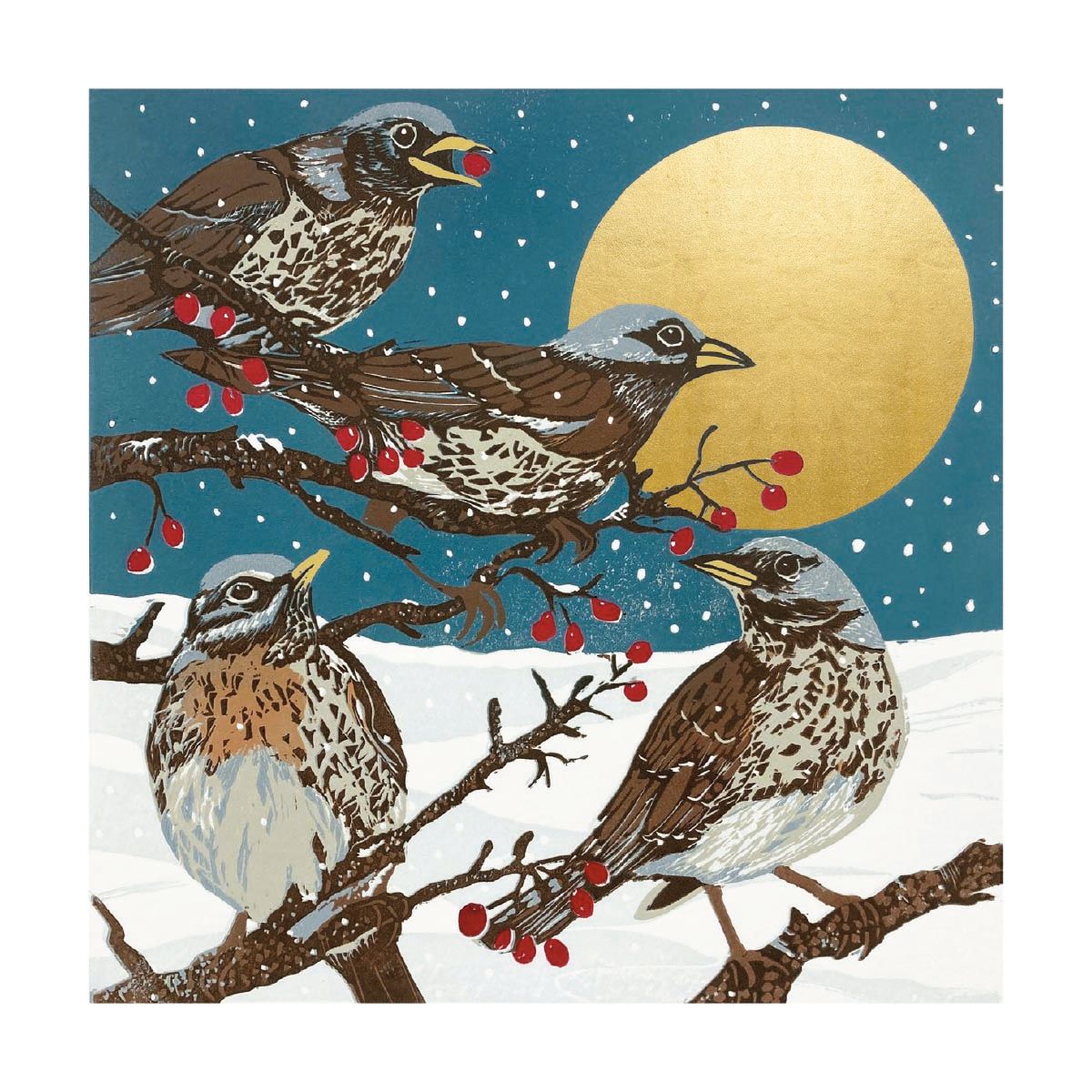 Winter Visitors Christmas Cards - Pack of 8