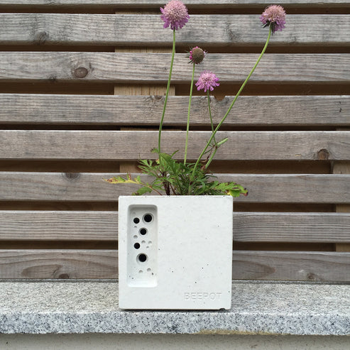 Beepot Mini Concrete Planter & Bee House