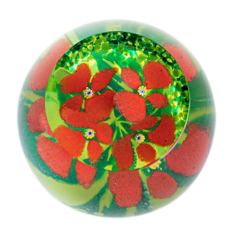 RBGE / Caithness Glass Paperweight - Begonia