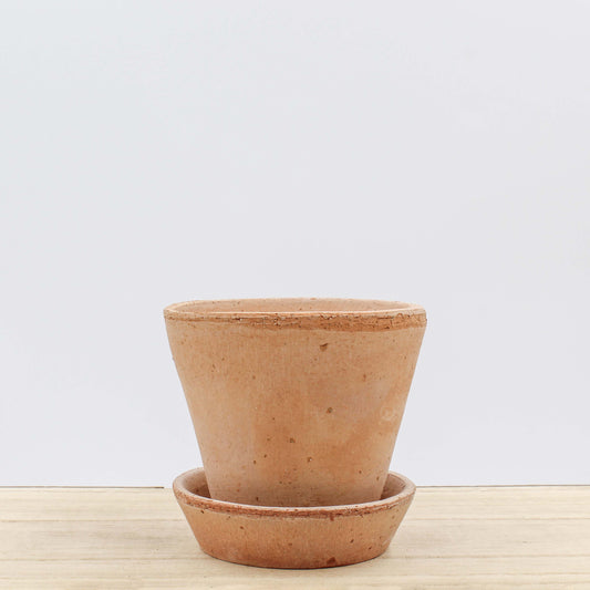 Julie Terracotta Pot and Saucer 10cm