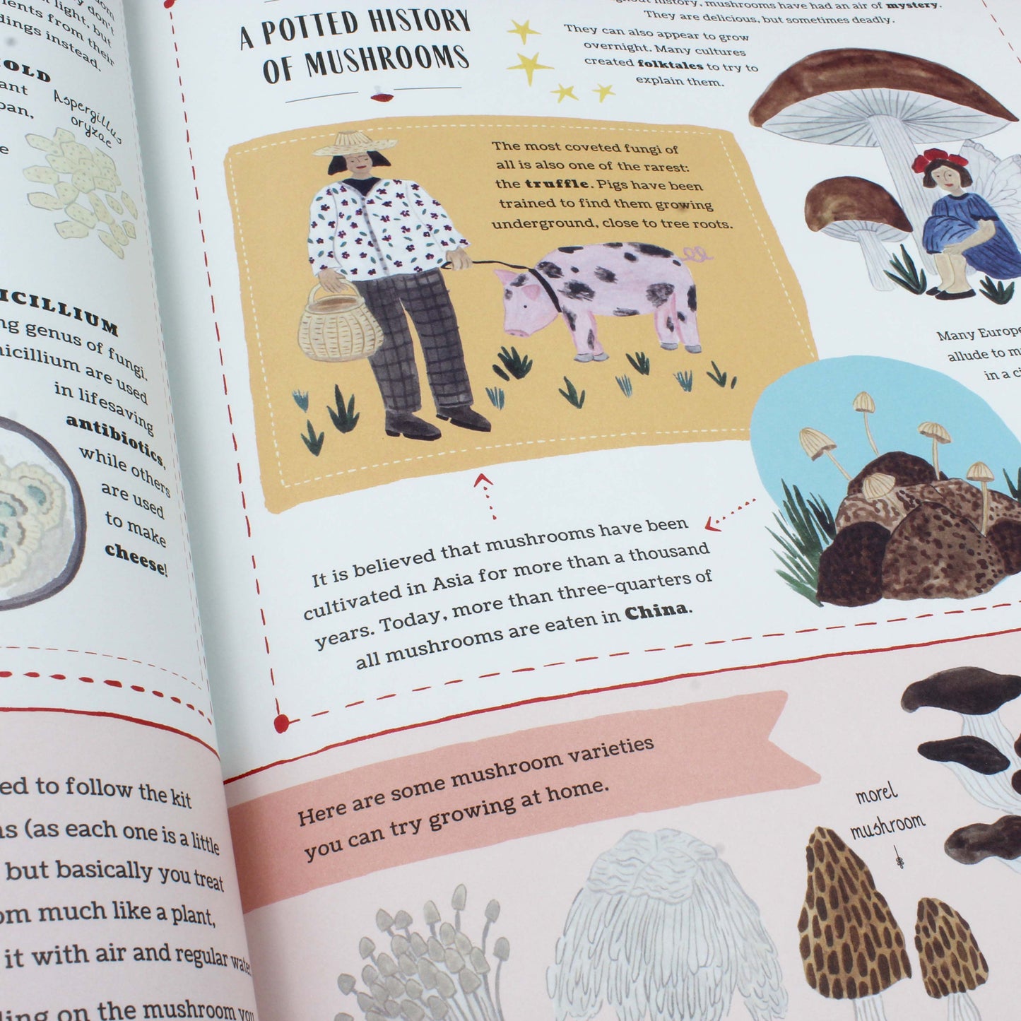 Grow: A Children’s Guide to Plants and How to Grow Them