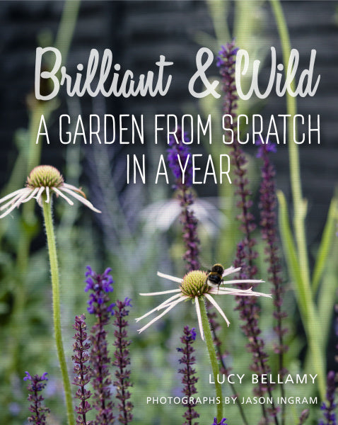 Brilliant and Wild - A Garden from Scratch in a Year