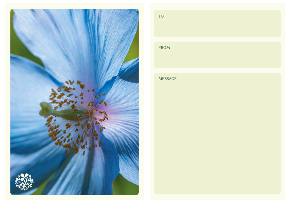 Short Course Gift Voucher Pack £50