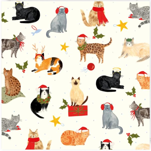 Santa Paws Cats 10 Pack Christmas Cards