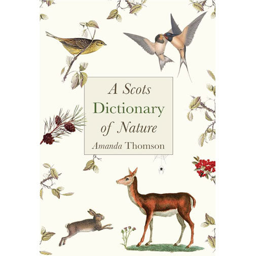 Dictionary of Nature by Amanda Thomson