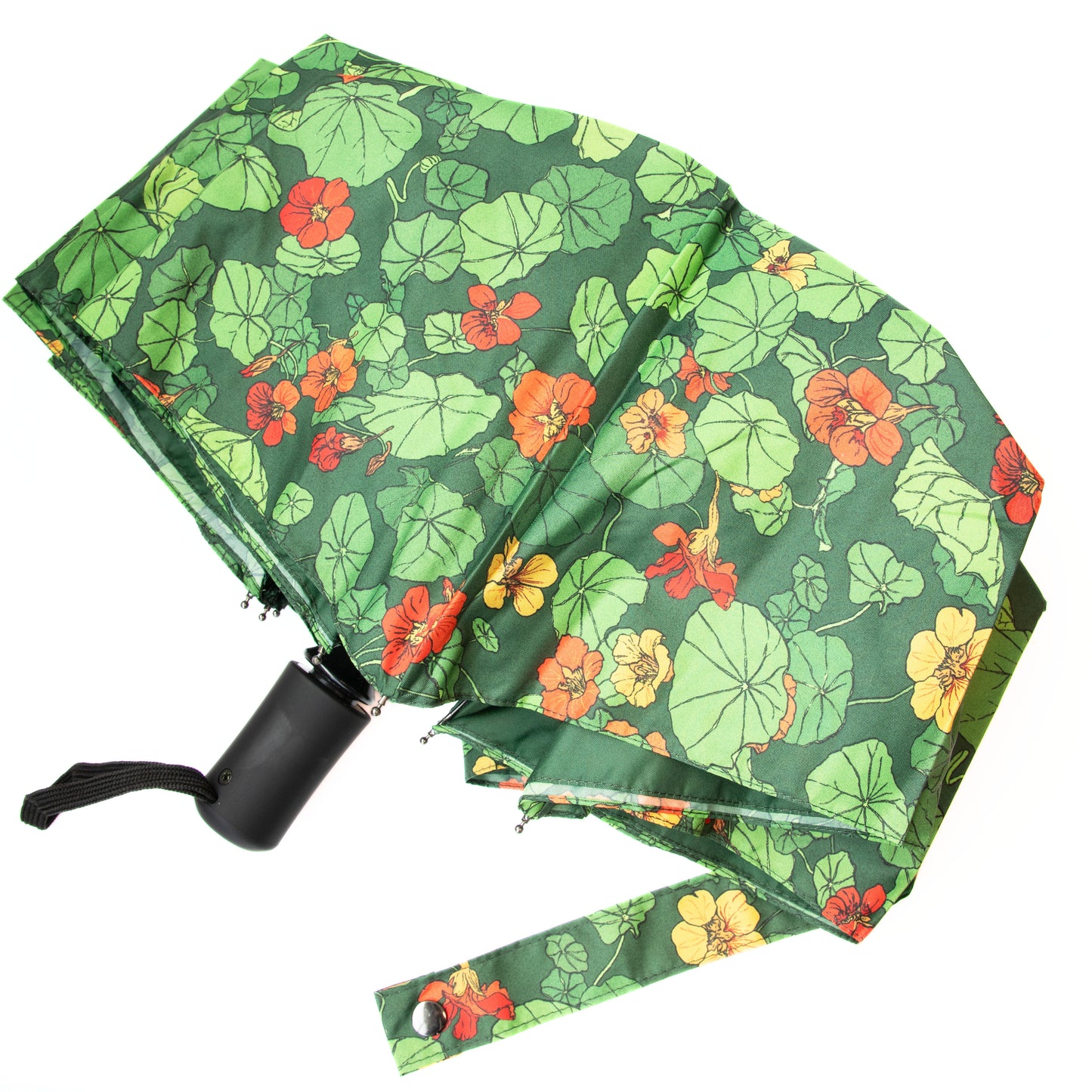 Planting with Nature:  Nasturtium Umbrella