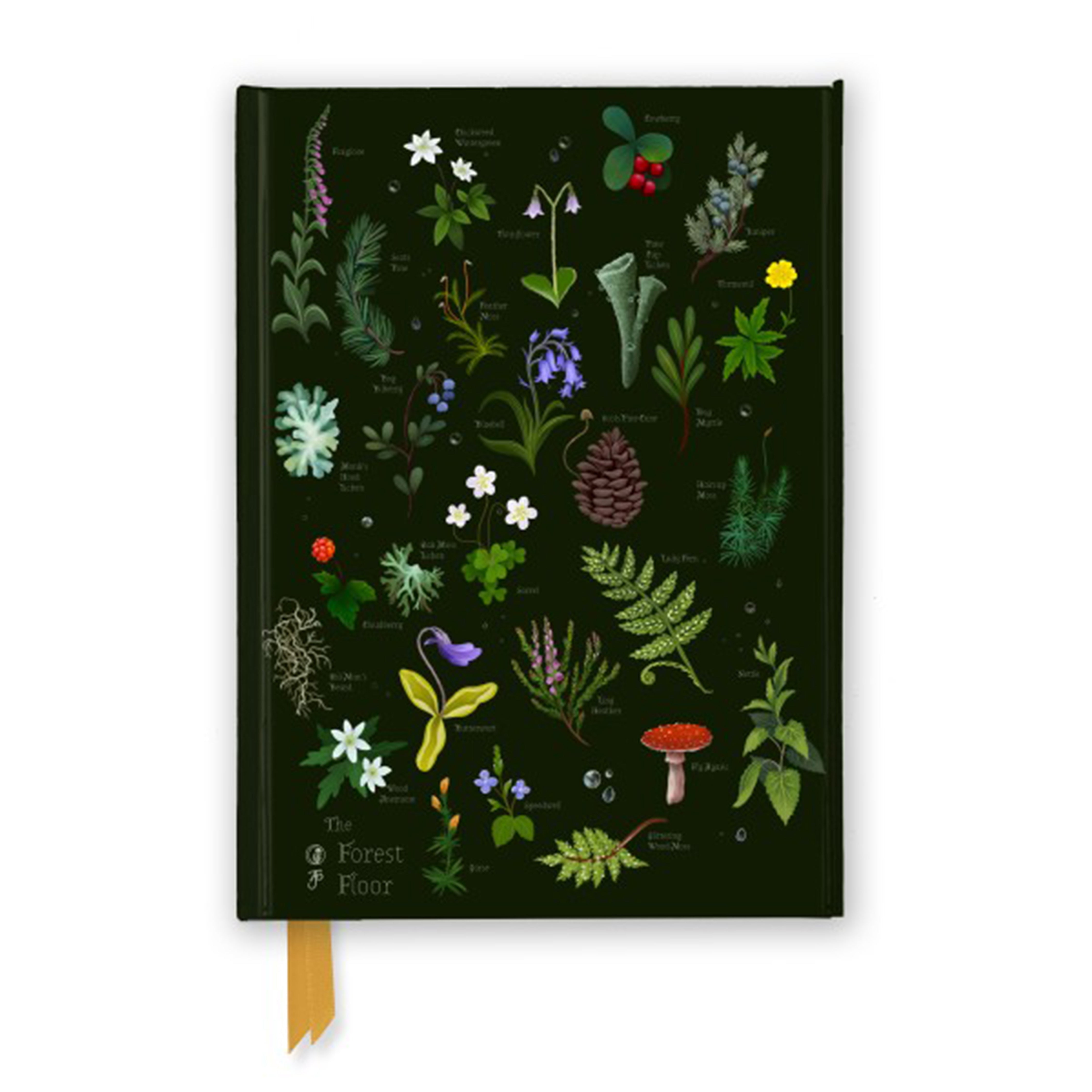 Hardback Journal - Forest Floor