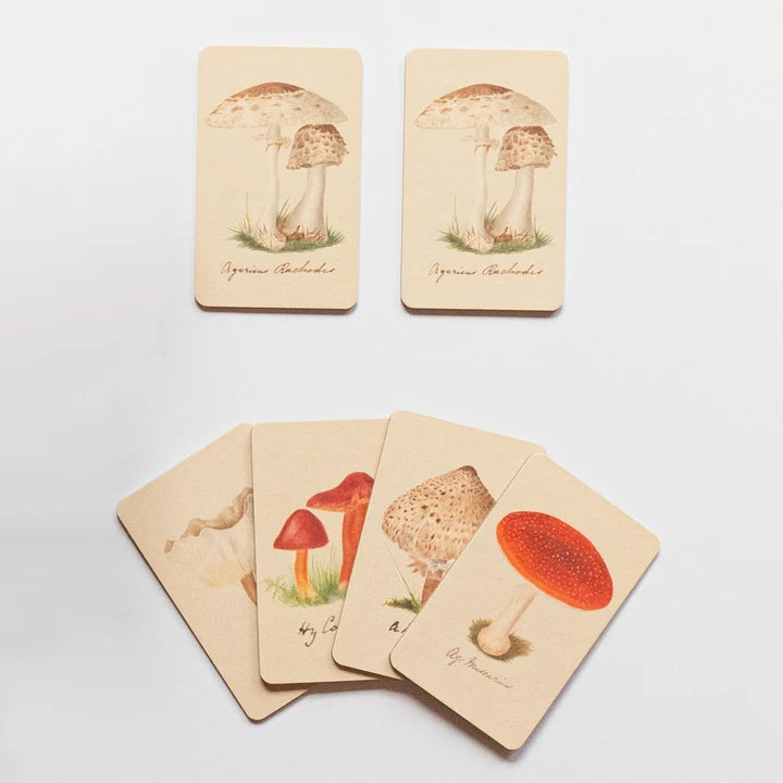 Fungi Memory Game