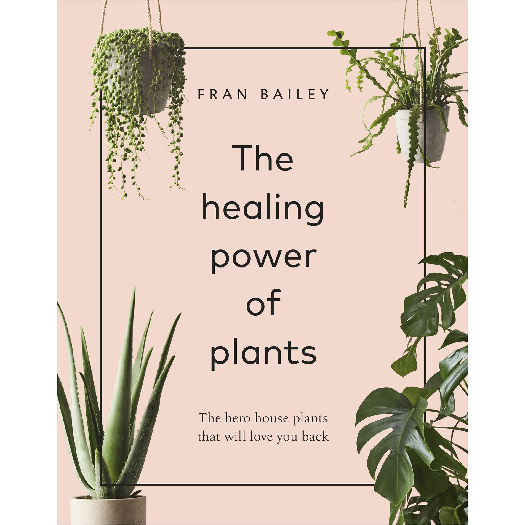 The Healing Power of Plants