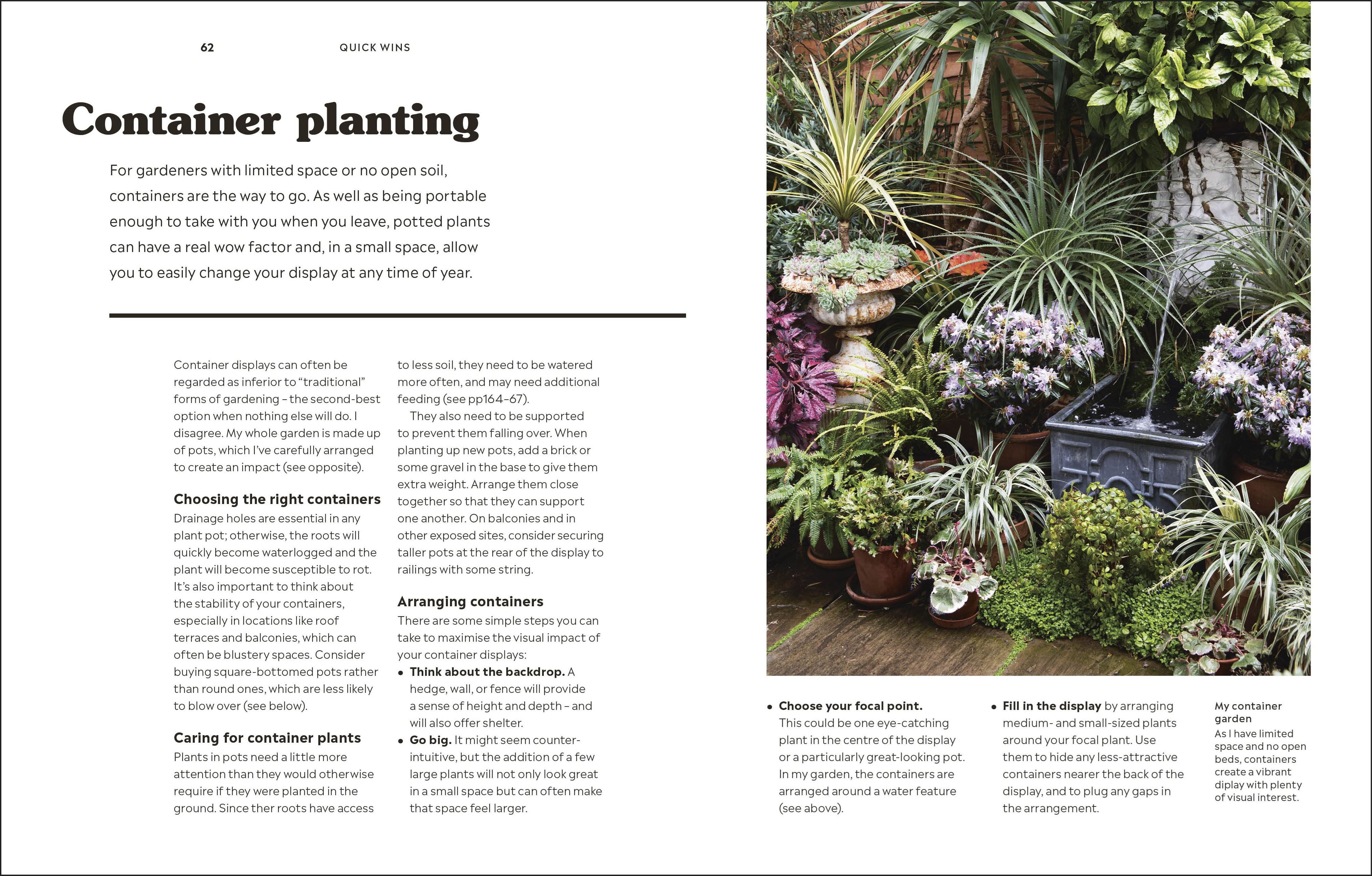 How to Garden When You Rent
