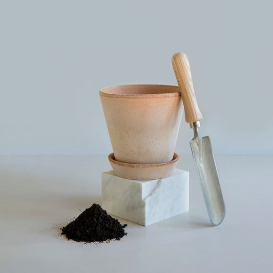 Bergs Potter - Julie Terracotta Pot and Saucer 12cm