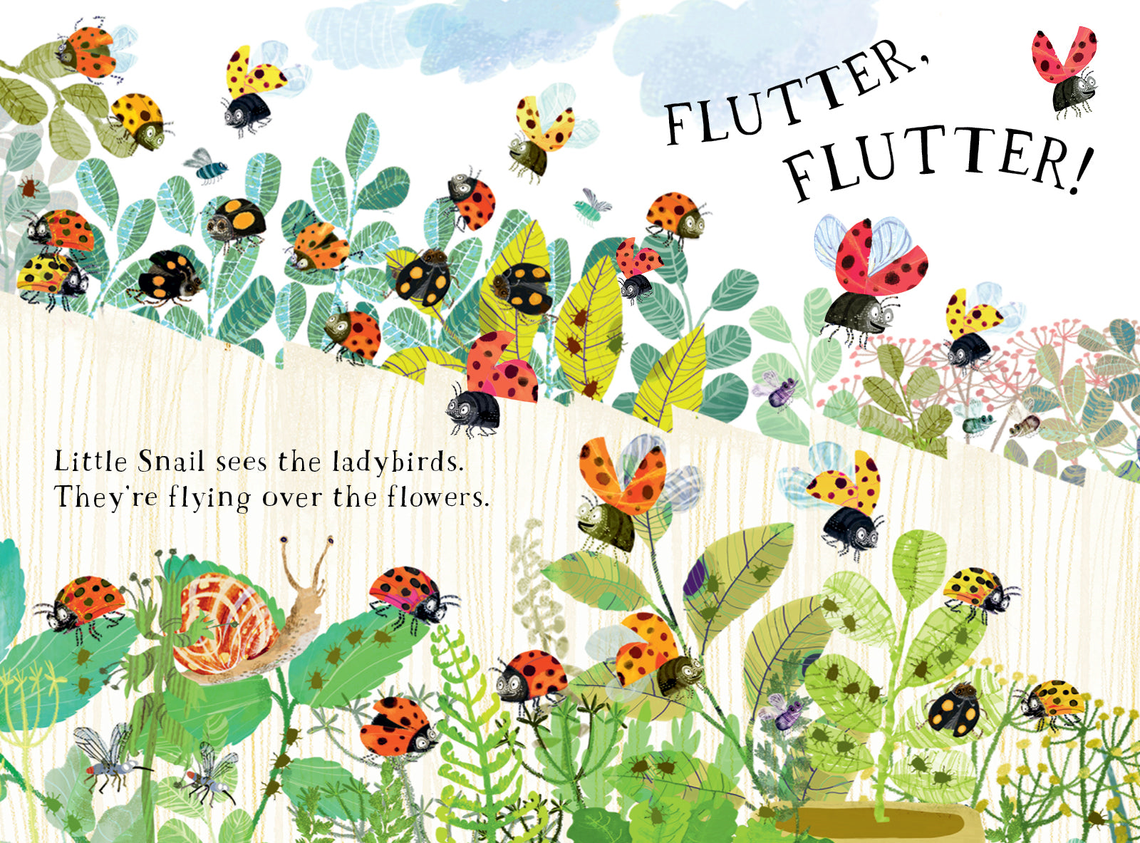 Little Snail's Book Of Bugs