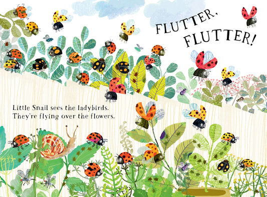 Little Snail's Book Of Bugs